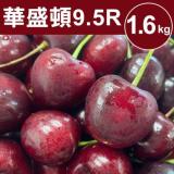 甜露露_9.5R華盛頓櫻桃1.6kg (1.6kg ±10%/盒)