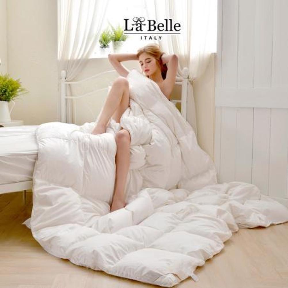 La Belle 法國100%水鳥羽毛絨柔暖冬被(雙人)-速達