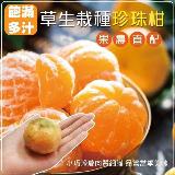 【果農直配】草生栽種珍珠柑1箱(約10斤/箱)