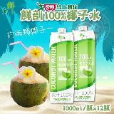半天水100鮮剖 半天水100%椰子水(原裝進口) 100ML*12罐【愛買】