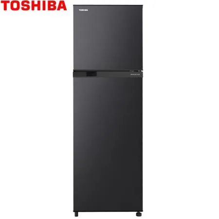 TOSHIBA東芝262公升一級變頻雙門冰箱GR-B31TP(SK)