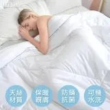 義大利La Belle《防蟎抗菌可水洗舒眠天絲暖冬被》--雙人