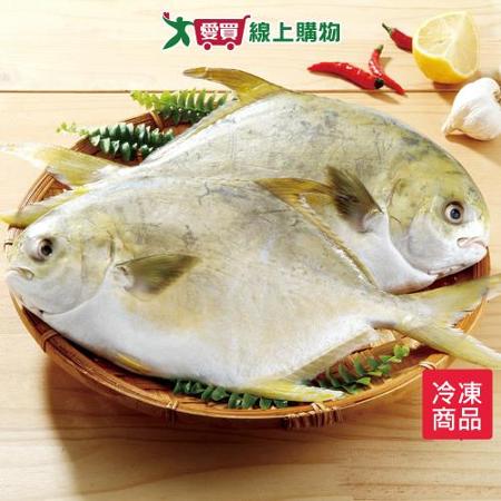 金鯧三去500-600g/尾