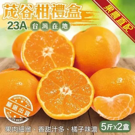 【果農直配】台灣23A茂谷柑禮盒2盒(20-25顆_約5斤/盒)