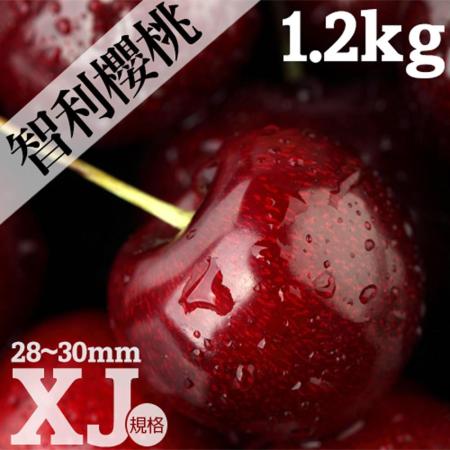 【築地一番鮮】智利紅寶石櫻桃XJ-1.2kg(約9.5R尺寸)-免運