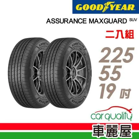 【GOODYEAR 固特異】AMGS 225/55/19_二入組 輪胎(車麗屋)