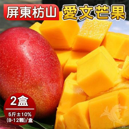 【禾鴻】屏東枋山阿憲山頂上的愛文芒果5斤8-12顆x2盒-禮盒裝(產地直送香甜多汁)