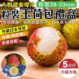 【產地直送】大樹玉荷包禮盒(去枝去葉)粒狀(28-33mm 約5斤/盒)