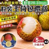【產地直送】大樹玉荷包禮盒(去枝去葉)粒狀(28-33mm 約5斤/盒)x2盒