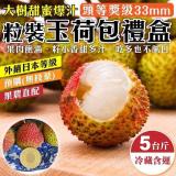 【產地直送】大樹玉荷包禮盒(去枝去葉)粒狀(33mm+ 約5斤/盒)