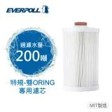 【EVERPOLL愛科濾淨】全戶濾淨 特規-雙ORING專用濾芯(AD-01)