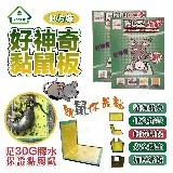 【好神奇】超黏黏鼠板10片裝(足30G膠水/展開大尺寸/環保衛生/加厚紙板)