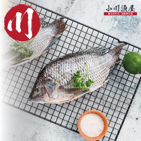 【小川漁屋】 精選台灣鯛魚6尾(250~300g/尾)