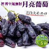 【果之蔬】智利無籽月亮葡萄(5袋 800-900g/盒)