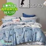 《KOSNEY 快樂時光藍》特大100%天絲TENCEL四件式兩用被床包組