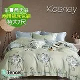 《KOSNEY 煙雨星辰綠》特大100%天絲TENCEL四件式兩用被床包組