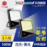 TOYAMA特亞馬 100W黑鑽戶外防水LED投射燈 2入組 白光、黃光