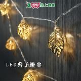 TreeWalker LED葉子燈串USB-暖白光 燈飾 戶外露營照明用 變換氛圍【愛買】