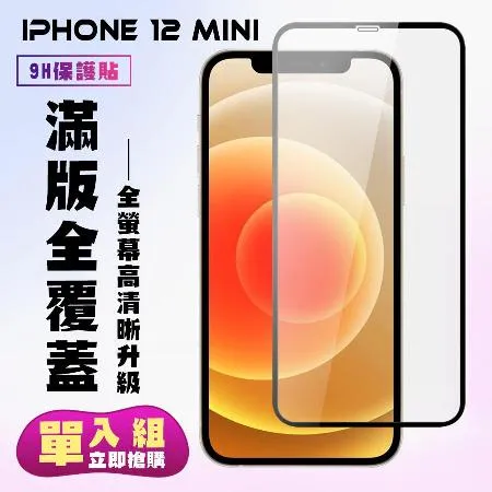 IPhone 12 MINI  保護貼 滿版黑框高清手機保護貼