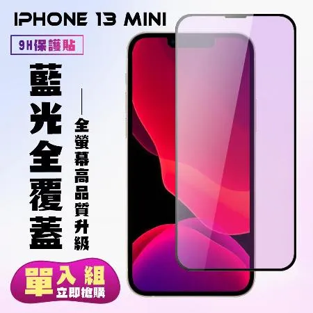 IPhone 13 MINI 保護貼 滿版黑框藍光手機保護貼