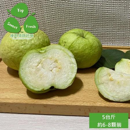【綠創頂級芭樂】高雄大樹-水蜜芭樂5台斤x1箱(約6-8顆_100%友善耕種_產地直送)