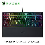 【Razer 雷蛇】雨林狼蛛 V3 短軸 TKL 電競鍵盤