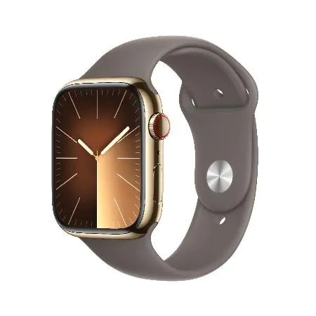 Apple Watch S9 (GPS+行動網路) 45mm - 金色不鏽鋼錶殼