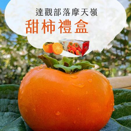 【初品果】達觀部落8A甜柿禮盒6顆x1盒
