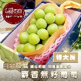 【果之蔬】日本空運麝香葡萄特大房1房禮盒(約670-750g/串)