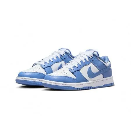 Nike Dunk Low Polar Blue 極地藍 男鞋 DV0833-400
