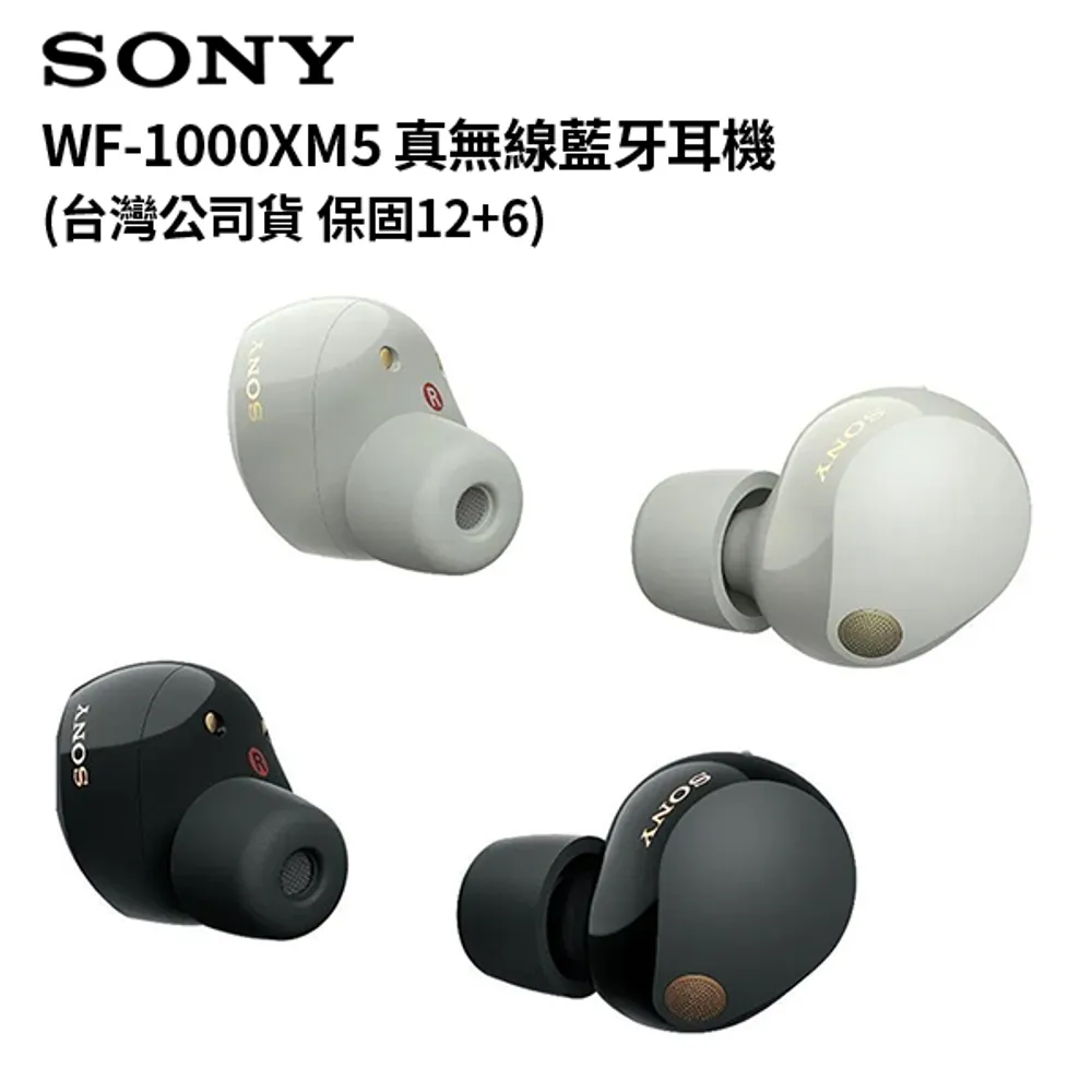 下單再折【SONY 】WF-1000XM5 旗艦真無線藍牙耳機 (台灣公司貨保固12+6)