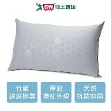 RR 黑鑽竹炭枕-45x75cm 臺灣製 健康除臭 淨化抗菌 防菌 寢具 枕頭【愛買】