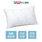 RR 長效防蹣抗菌枕-45x75cm 臺灣製 日本大和化工認證 長效防蹣 抗菌【愛買】