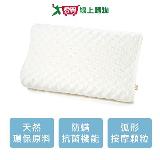 遠東-TN basic 環保防蟎抗菌弧形按摩顆粒進口天然乳膠枕-61x38x10/12cm 【愛買】