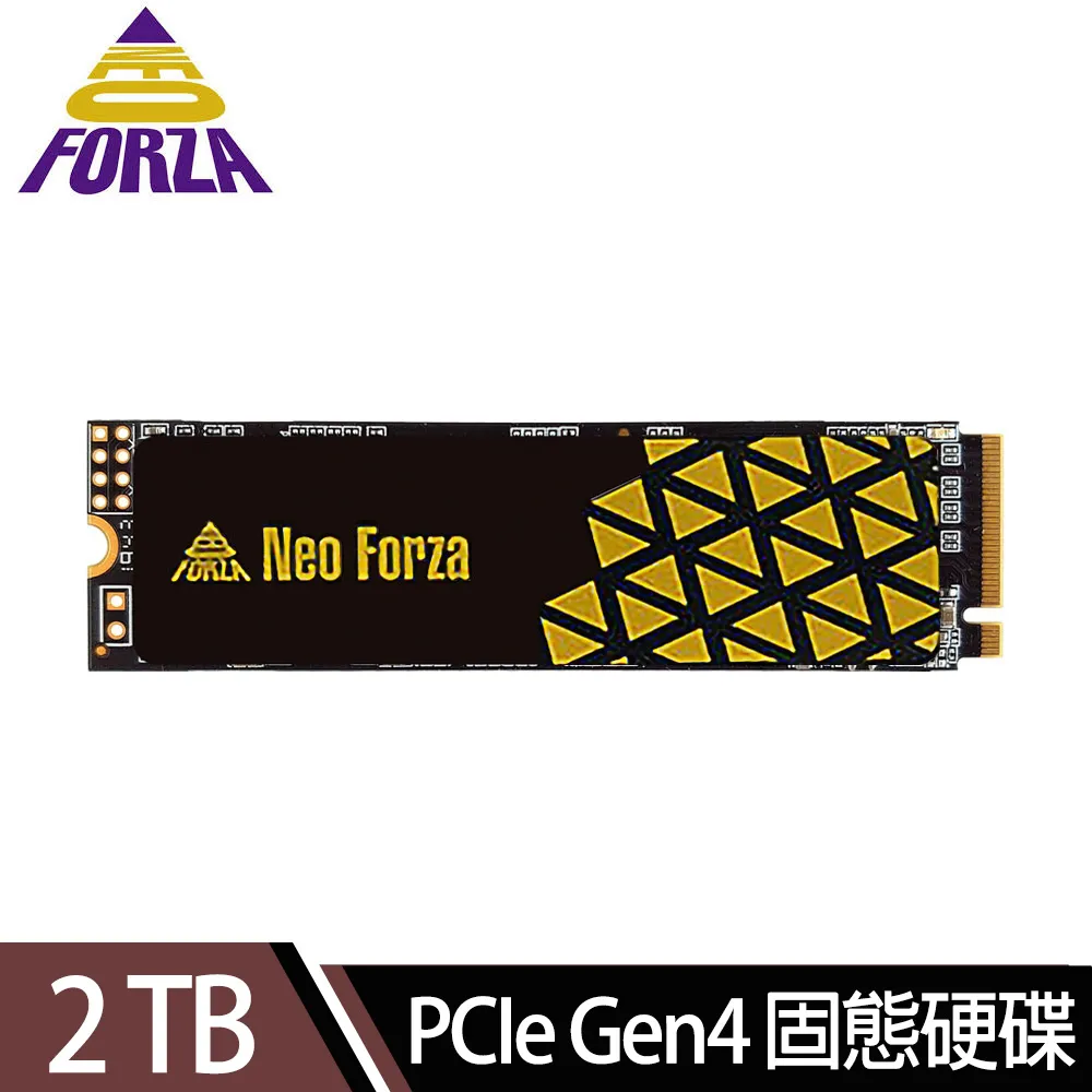 凌航Neo Forza NFP495 2TB Gen4x4 PCIe SSD固態硬碟