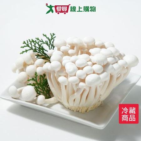 有機美白菇2包/組(150G/包)