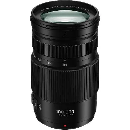 Panasonic LUMIX G VARIO 100-300mm F4.0-5.6 II 公司貨 送67mm UV鏡