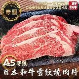 【海肉管家】日本A5和牛雪紋燒肉片10盒(約100/盒)