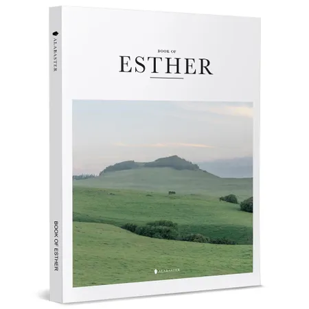 BOOK OF ESTHER（New Living Translati[93折] TAAZE讀冊生活