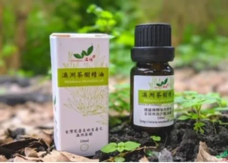 【温伯力】純茶樹精油 10ml