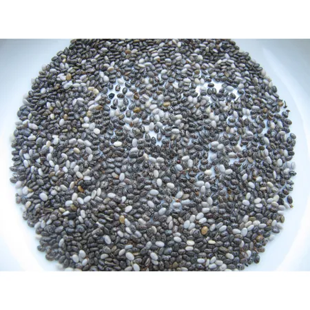 自栽奇亞籽(CHIA SEEDS)