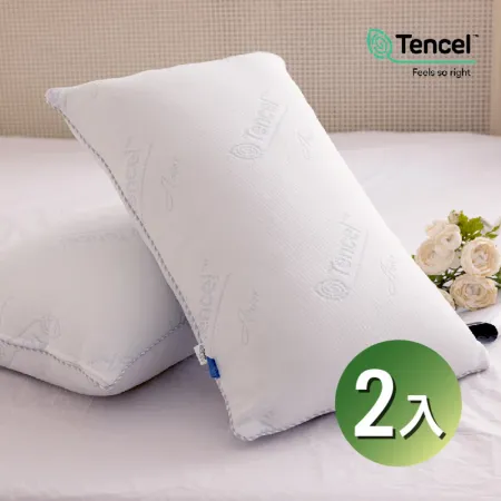 【friDay限定】Anice-TENCEL天絲舒壓支撐枕2入 (枕頭/MIT台灣製/天絲/萊賽爾)