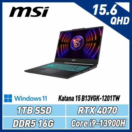 MSI KATANA15 B13VGK-1201TW (i9-13900H/16G/RTX4070)