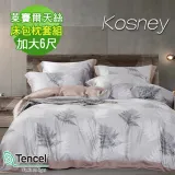 《KOSNEY 南館瀟湘》頂級加大60支100%天絲TENCEL床包枕套組