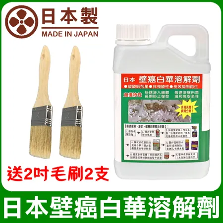 【十田修繕】 日本壁癌白華溶解劑 1L 送2吋毛刷2支 壁癌 乳膠漆 白華 防水 批土 油漆 防水漆