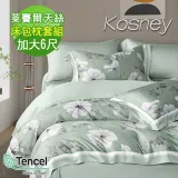 《KOSNEY 悅墨綠》頂級加大60支100%天絲TENCEL床包枕套組