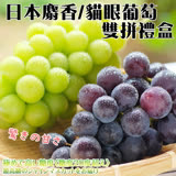 【果之蔬】日本麝香/貓眼葡萄雙拼禮盒X1組(貓眼1串+麝香葡萄1串)