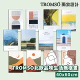 TROMSO北歐品味生活無框畫40X60cm