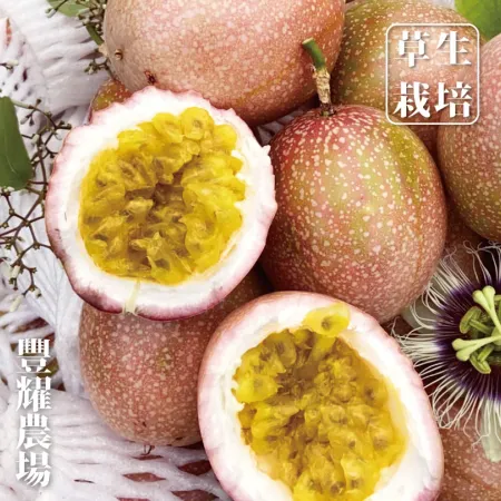 【十翼饌選果】豐耀農場 滿天星 黃金百香果5台斤x1箱 網室栽種 草生栽培 產地直送 
