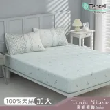 【Tonia Nicole 東妮寢飾】青雅集環保印染100%萊賽爾天絲床包枕套組(加大)